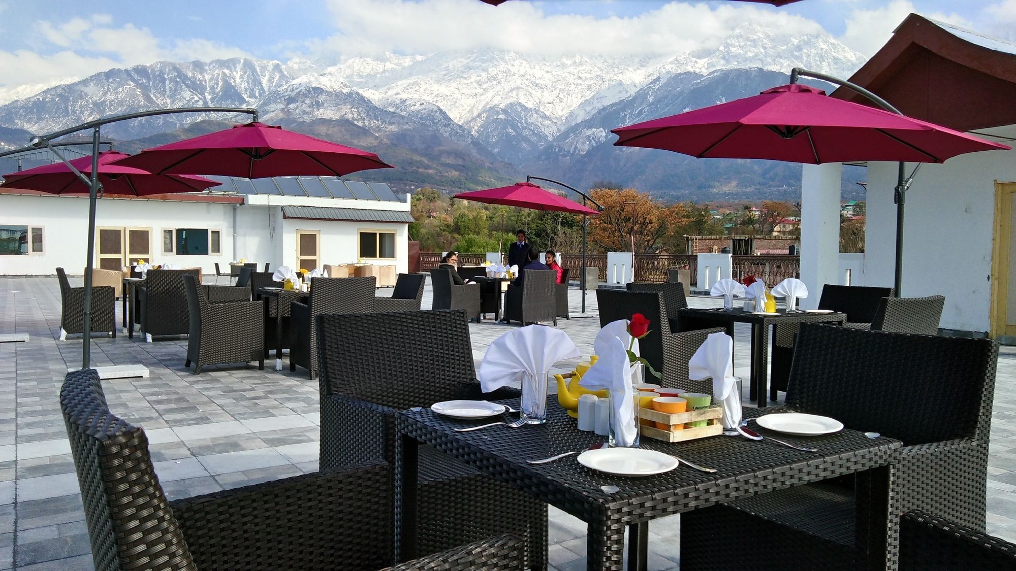 D'Polo Club & Spa Resort Dharamshala Eksteriør billede